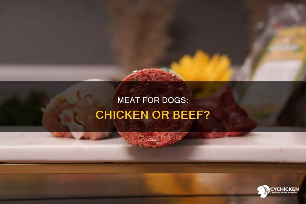 is beef or chicken dog food better for dogs