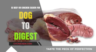 Which Meat is Easier for Dogs to Digest?