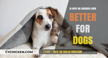 Beef vs. Chicken Liver: Which is Healthier for Your Dog?