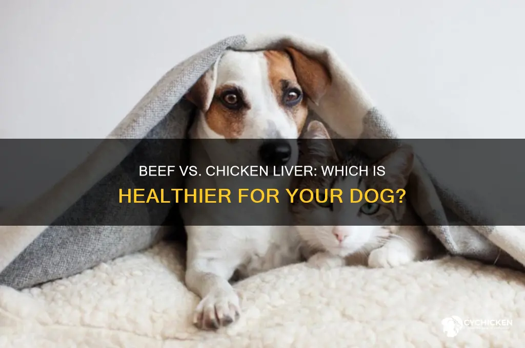 is beef or chicken liver better for dogs