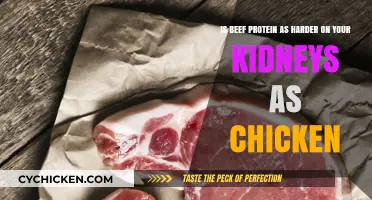 Meat and Kidneys: Is Beef Protein Harder?