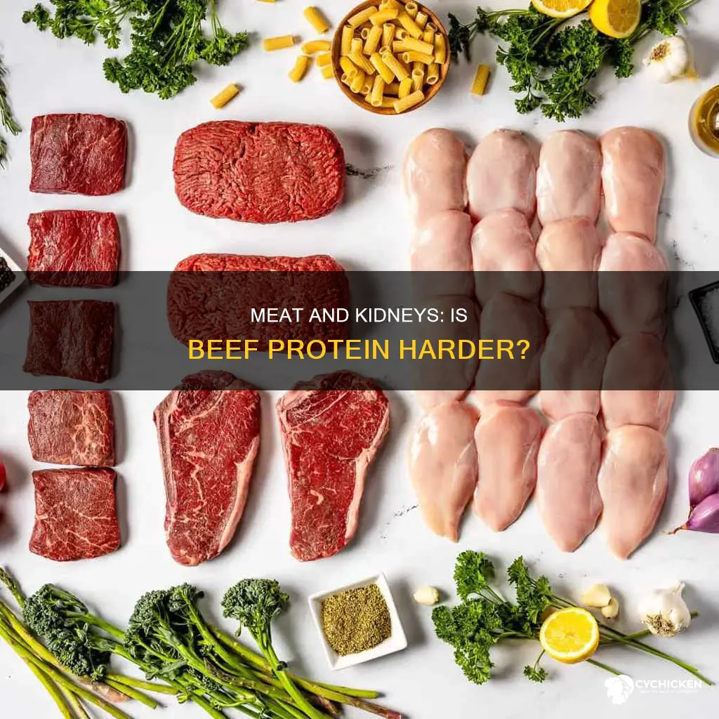is beef protein as harder on your kidneys as chicken