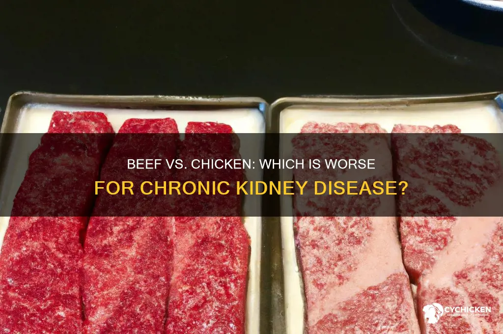 is beef worse for ckd than chicken
