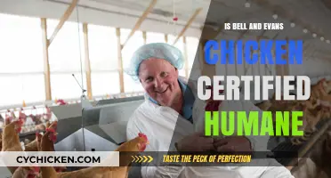Is Bell & Evans Chicken Certified Humane? Exploring Ethical Practices