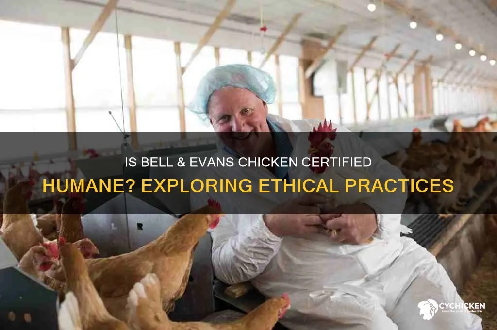 is bell and evans chicken certified humane