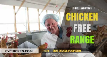 Is Bell & Evans Chicken Truly Free Range? Uncovering the Facts