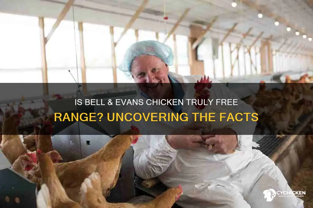 is bell and evans chicken free range