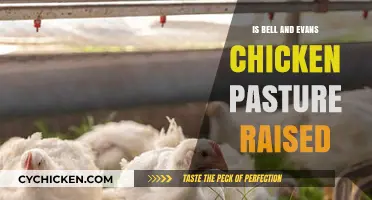 Is Bell & Evans Chicken Truly Pasture-Raised? Uncovering the Facts