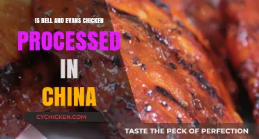 Is Bell & Evans Chicken Processed in China? Facts Revealed