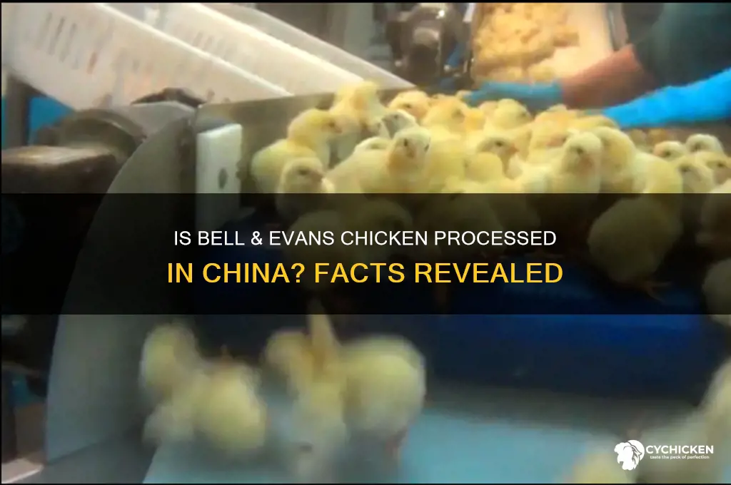 is bell and evans chicken processed in china