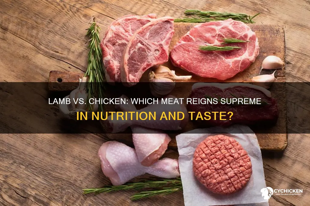 is better meat the lamb or chicken