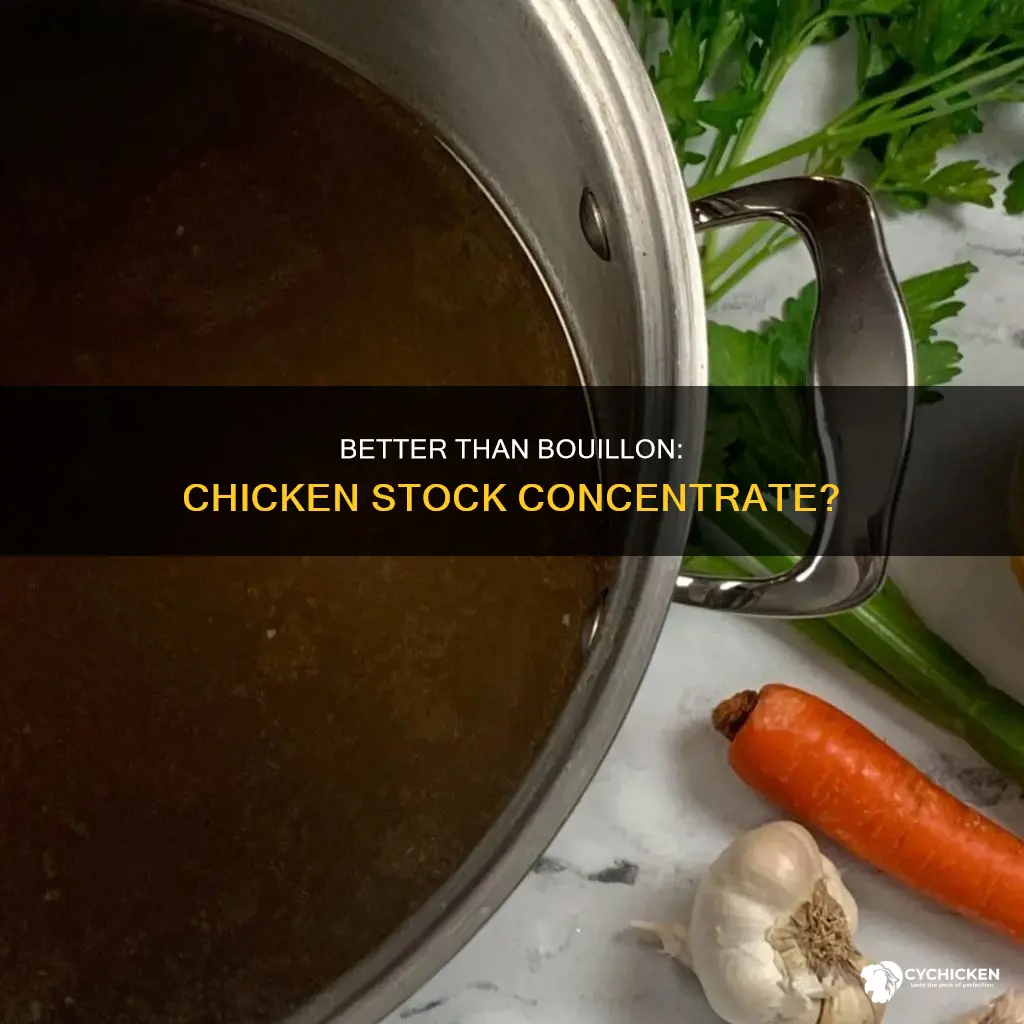 is better than bouillon the same as chicken stock concentrate