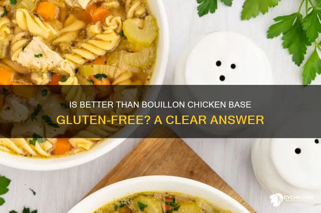 is better than bullion chicken base hluyen free