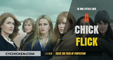 Is 'Big Little Lies' a Chick Flick? Debunking the Myth