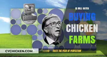 Is Bill Gates Buying Chicken Farms? Unraveling the Truth Behind the Rumors