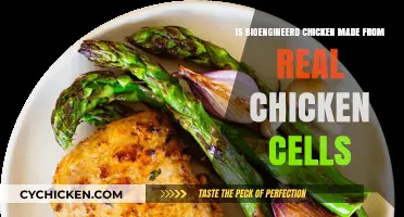 Bioengineered Chicken: Real Cells or Lab-Grown Innovation?
