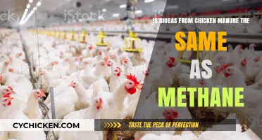 Chicken Manure: Biogas or Methane?