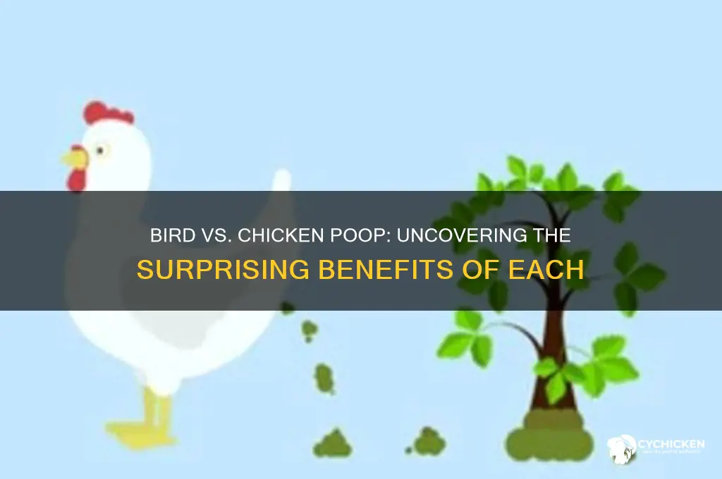 is bird pooo as beneficial as chicken poop