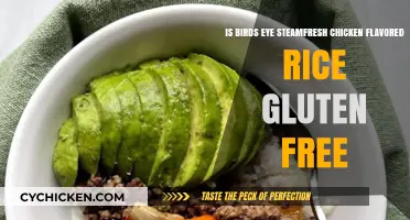 Gluten-Free Chicken Rice: Bird's Eye Steamfresh Review