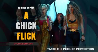 Birds of Prey: Chick Flick or Empowering Action Film?