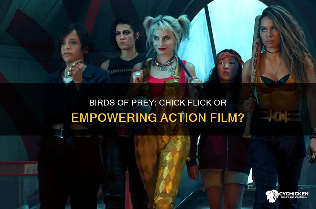 is birds of prey a chick flick