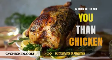 Bison vs. Chicken: Which Lean Protein Boosts Your Health More?