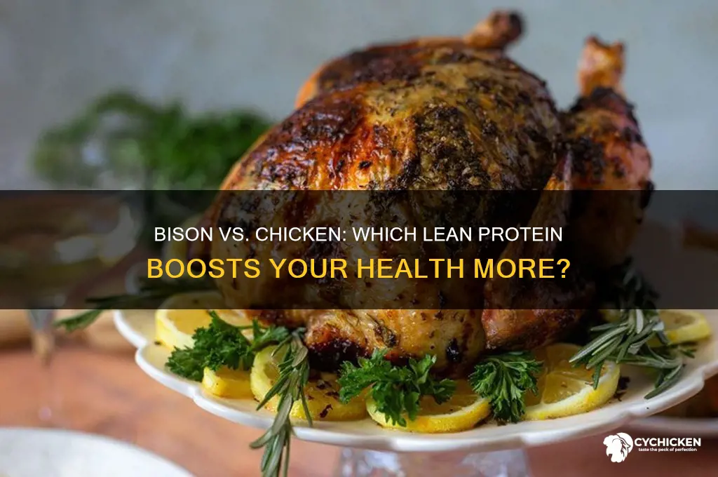 is bison better for you than chicken