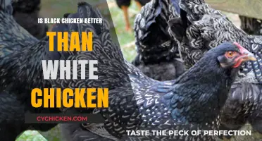 Black vs. White Chicken: Which Poultry Reigns Supreme in Nutrition and Taste?