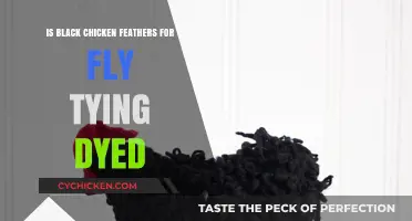 Are Black Chicken Feathers for Fly Tying Naturally Colored or Dyed?