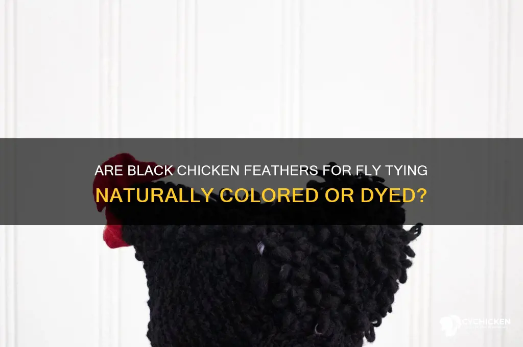 is black chicken feathers for fly tying dyed