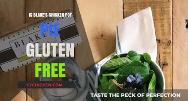 Savoring Comfort: Is Blake's Chicken Pot Pie Gluten-Free?