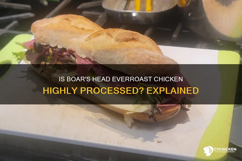 is boar