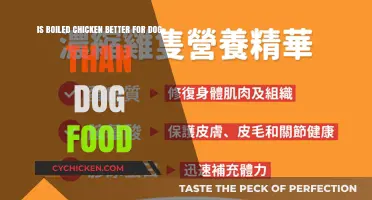 Chicken for Dogs: Boiled or Dog Food?