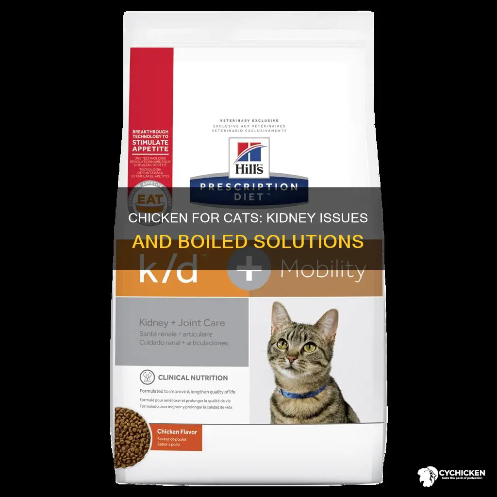 is boiled chicken okay for cat with kidney issues