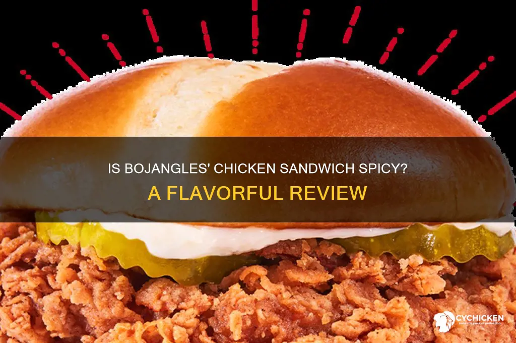 is bojangles chicken sandwich spicy