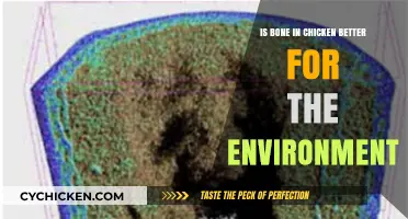 Bone-In Chicken: Eco-Friendly Choice or Environmental Myth?