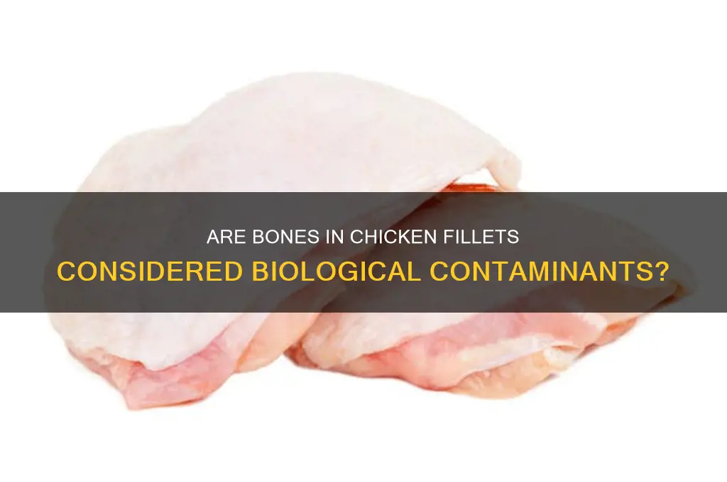 is bones in a chicken fillet biological contiminmant