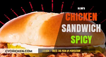 Is Bo's Chicken Sandwich Spicy? A Detailed Heat Level Review