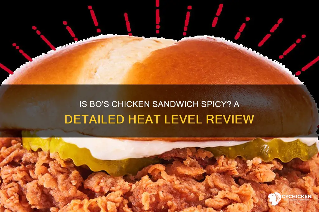 is bo