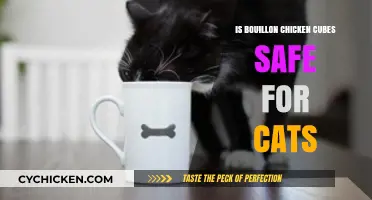 Are Bouillon Chicken Cubes Safe for Your Feline Friend?