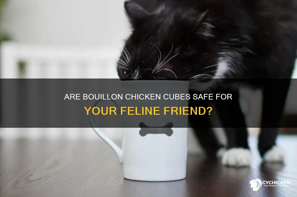 is bouillon chicken cubes safe for cats