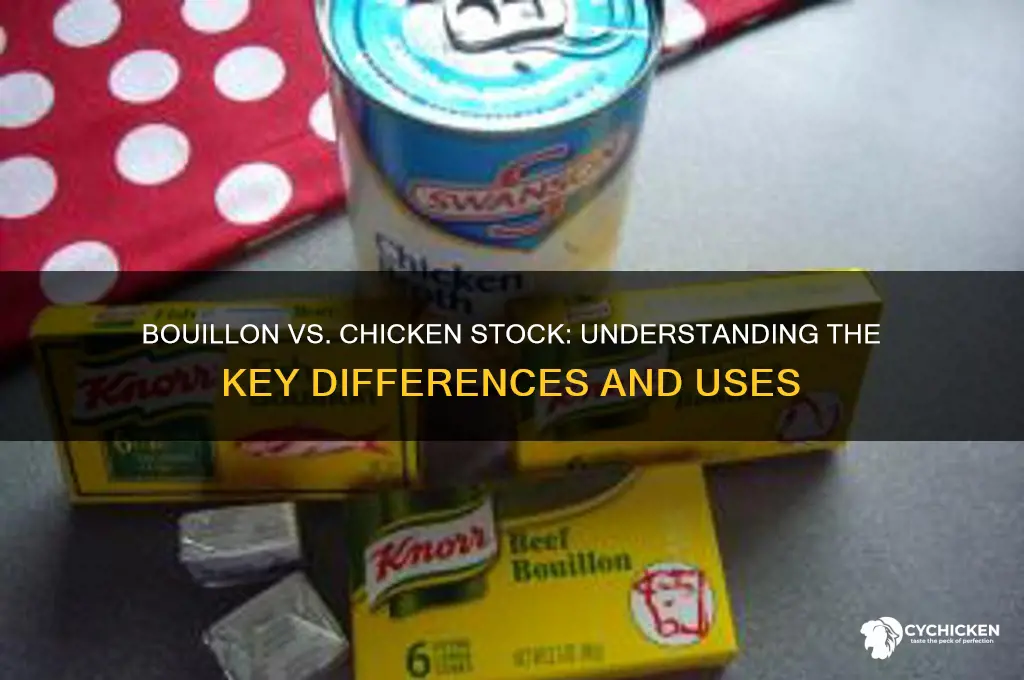 is bouillon the same as chicken stock
