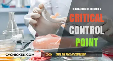 Breading Chicken: A Critical Control Point in Food Safety?