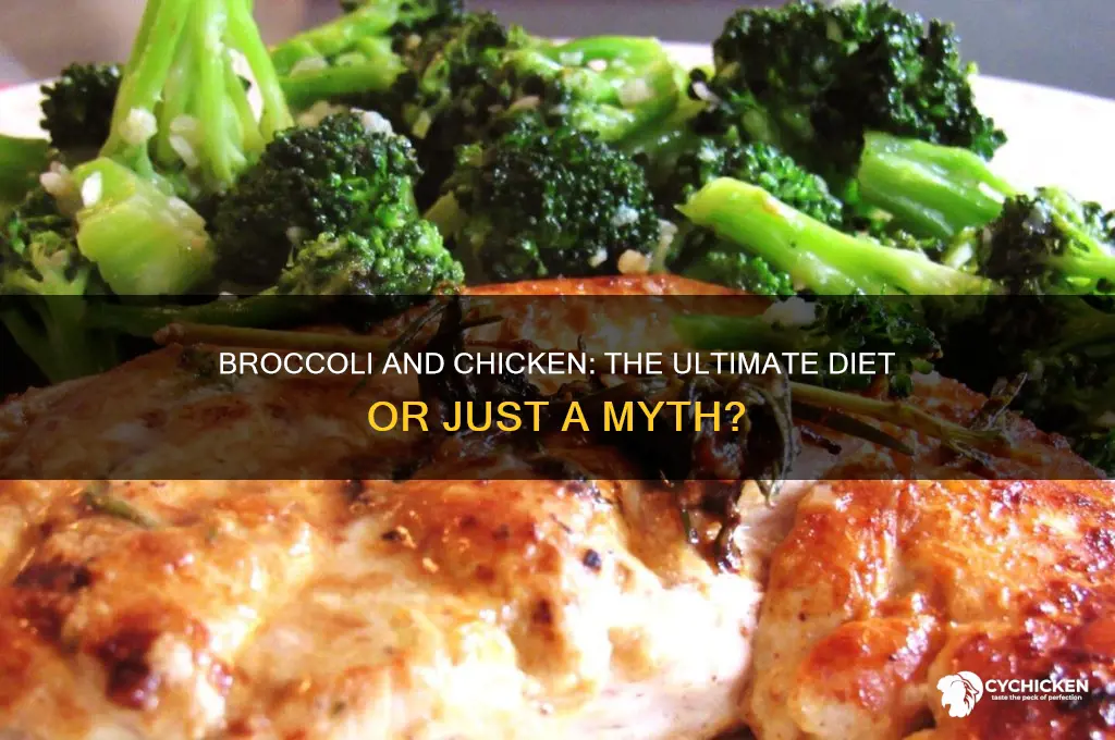 is broccoli and chicken the best diet