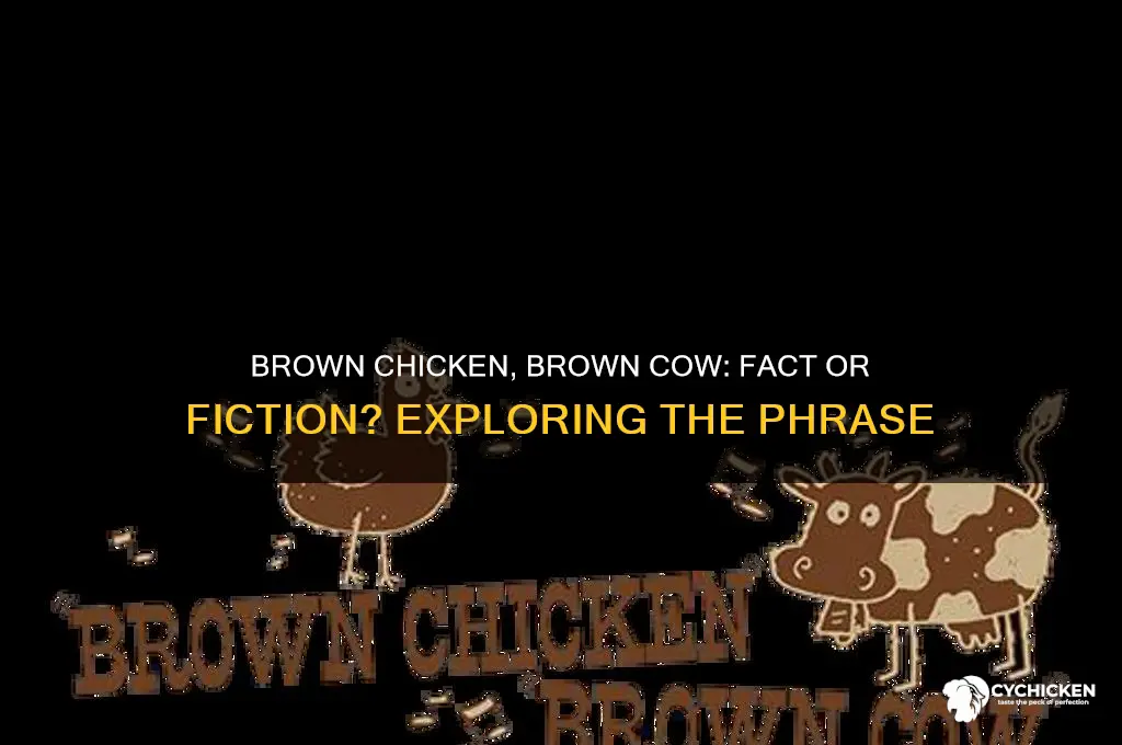 is brown chicken brown cow a thing