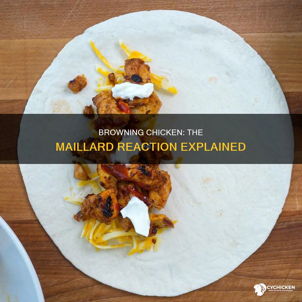 is browning chicken an example of a maillard reaction
