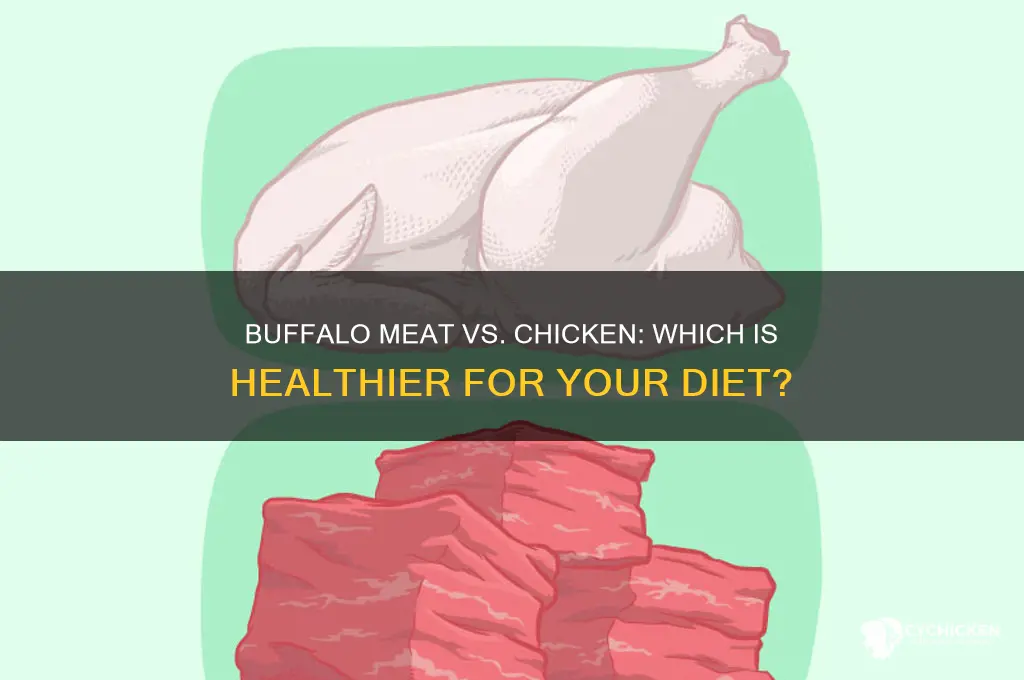 is buffalo meat better for you than chicken