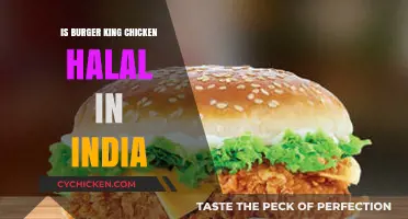 Is Burger King's Chicken Halal in India? A Detailed Analysis