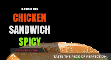Is Burger King's Chicken Sandwich Spicy? A Tasty Review