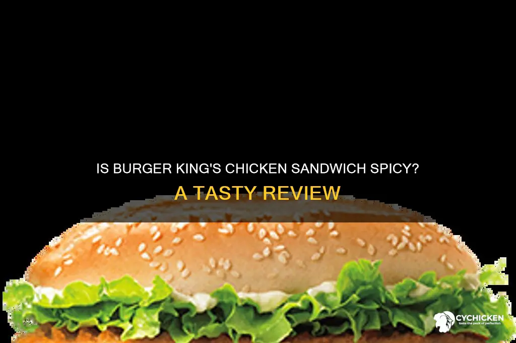 is burger king chicken sandwich spicy